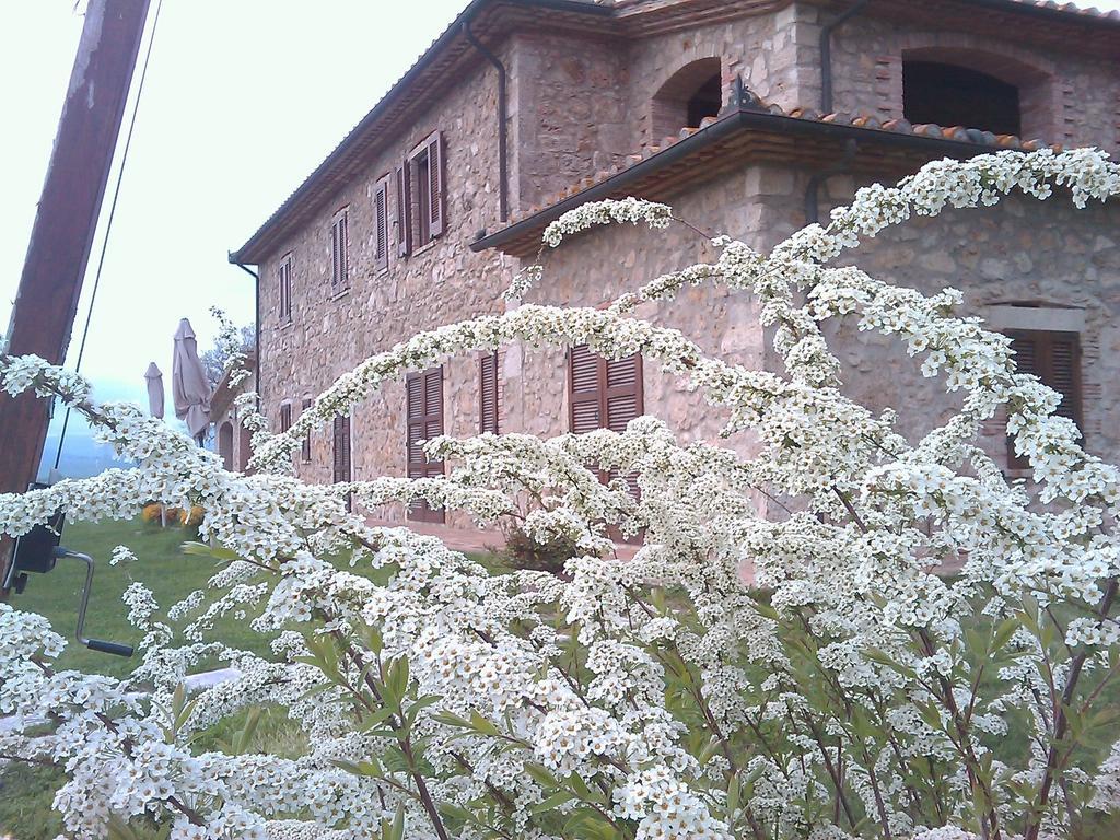 Agriturismo Il Poggiolo มอนเตเมราโน ภายนอก รูปภาพ